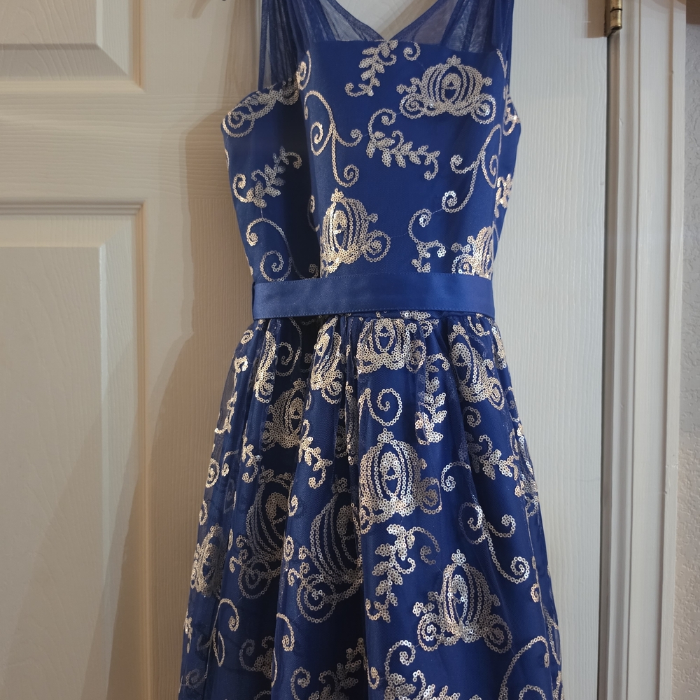 Disney Blue and Silver Formal Kids Dress